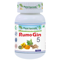Rumo Gin 5 Kapsule 60ks Planet Ayurveda